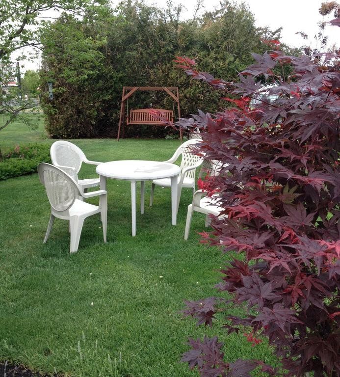Outdoor Pictures 20