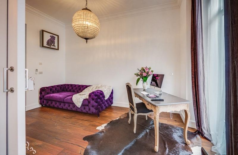 Purple Dog Suites