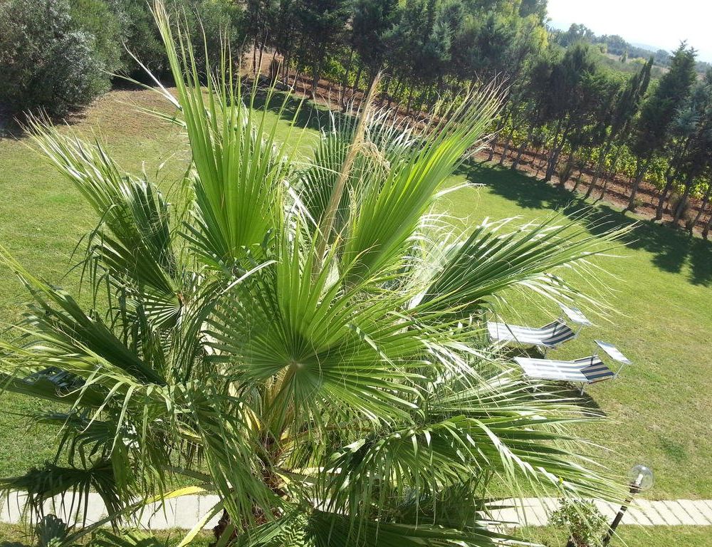 Outdoor Pictures 21