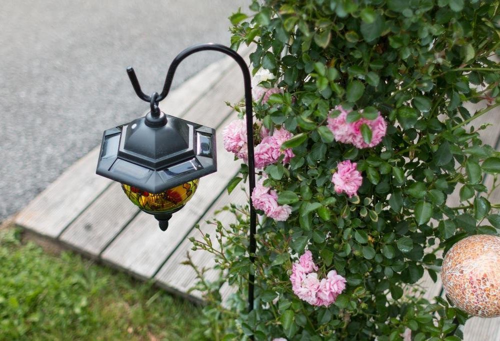 Outdoor Pictures 21
