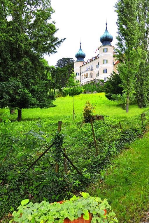 Outdoor Pictures 22