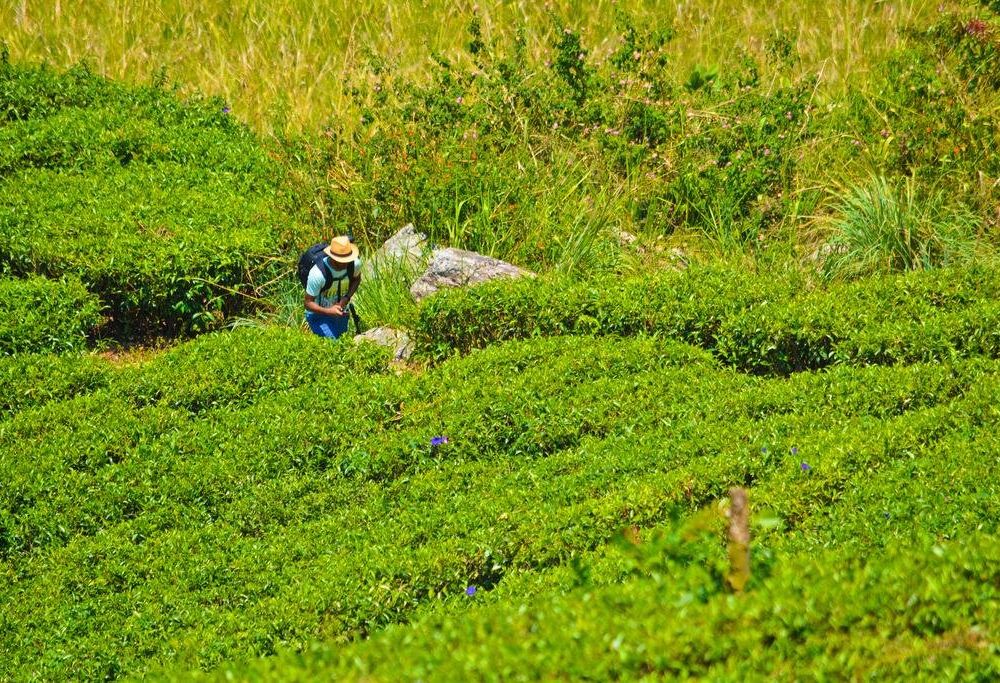 Outdoor Pictures 20