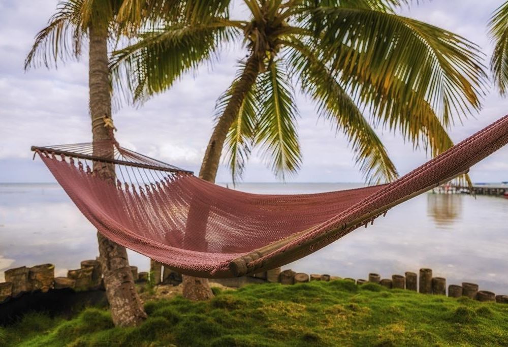 Outdoor Pictures 23