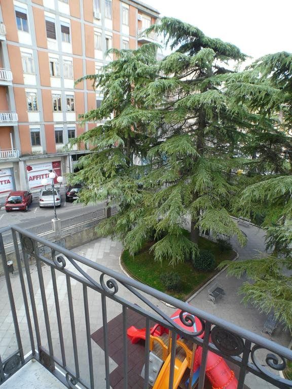 Outdoor Pictures 19