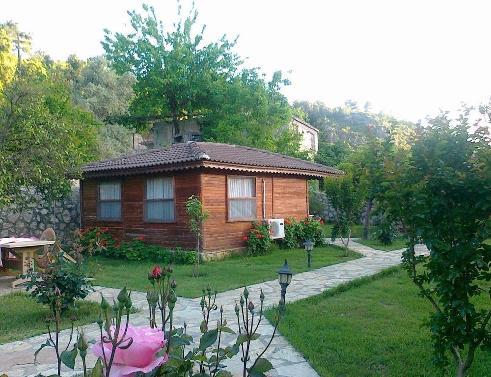 Outdoor Pictures 1