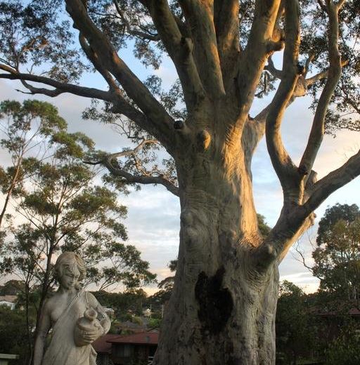 The Tree Motel