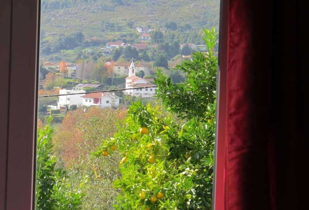 Outdoor Pictures 23