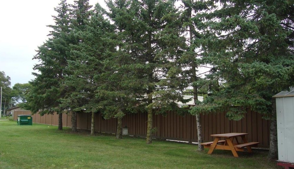 Outdoor Pictures 19