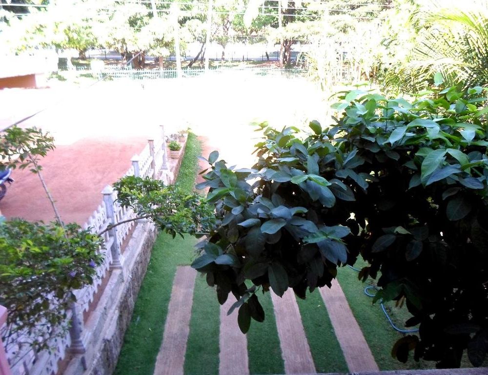 Outdoor Pictures 21
