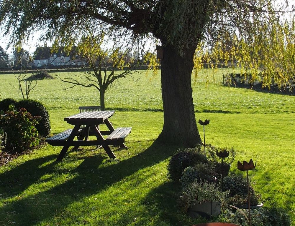 Outdoor Pictures 20