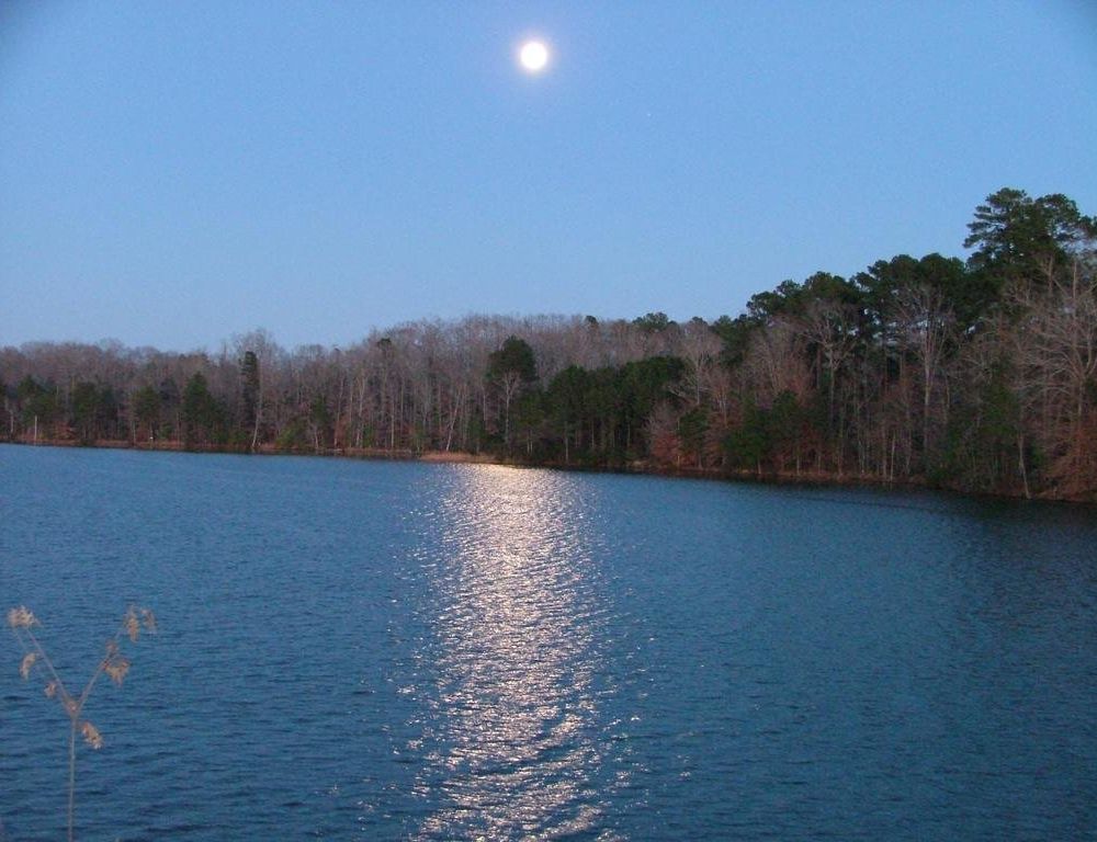 Outdoor Pictures 11