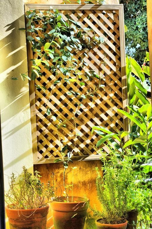 Outdoor Pictures 22