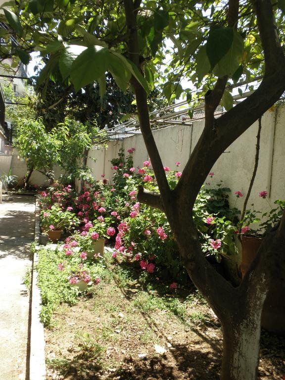 Outdoor Pictures 21