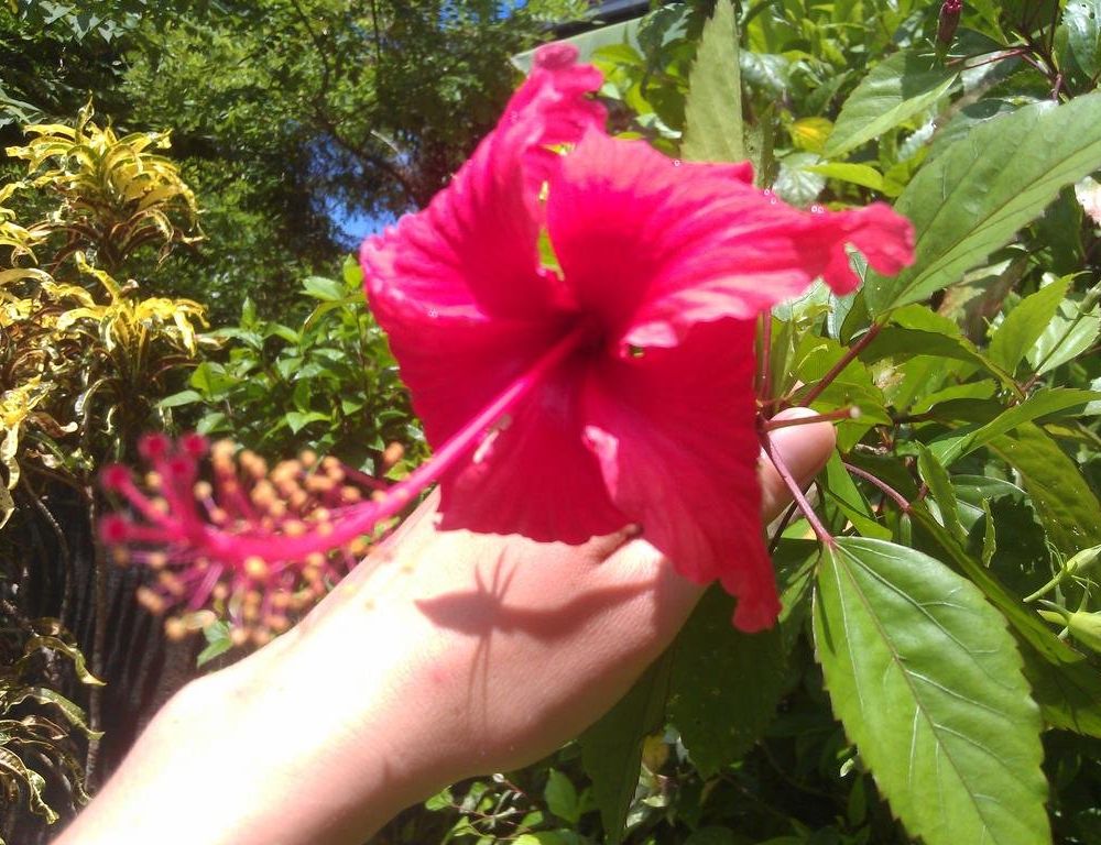 Outdoor Pictures 17