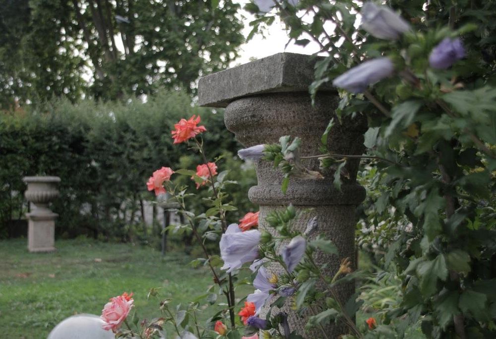 Outdoor Pictures 19