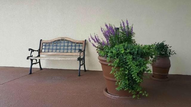 Outdoor Pictures 7