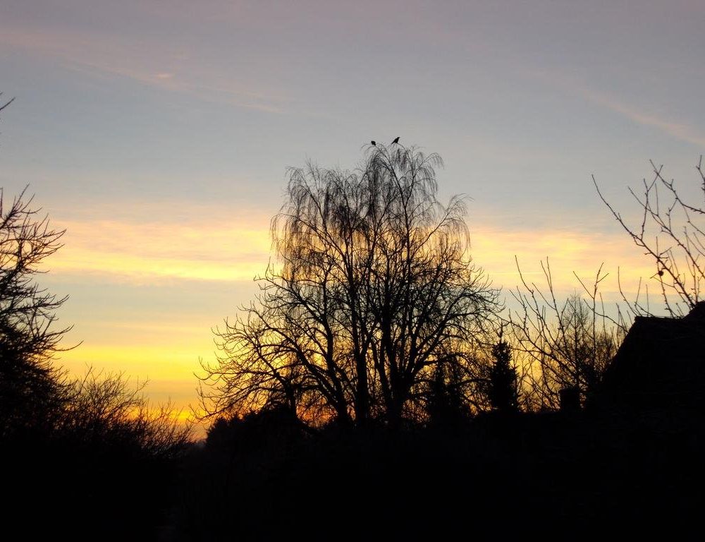 Outdoor Pictures 22