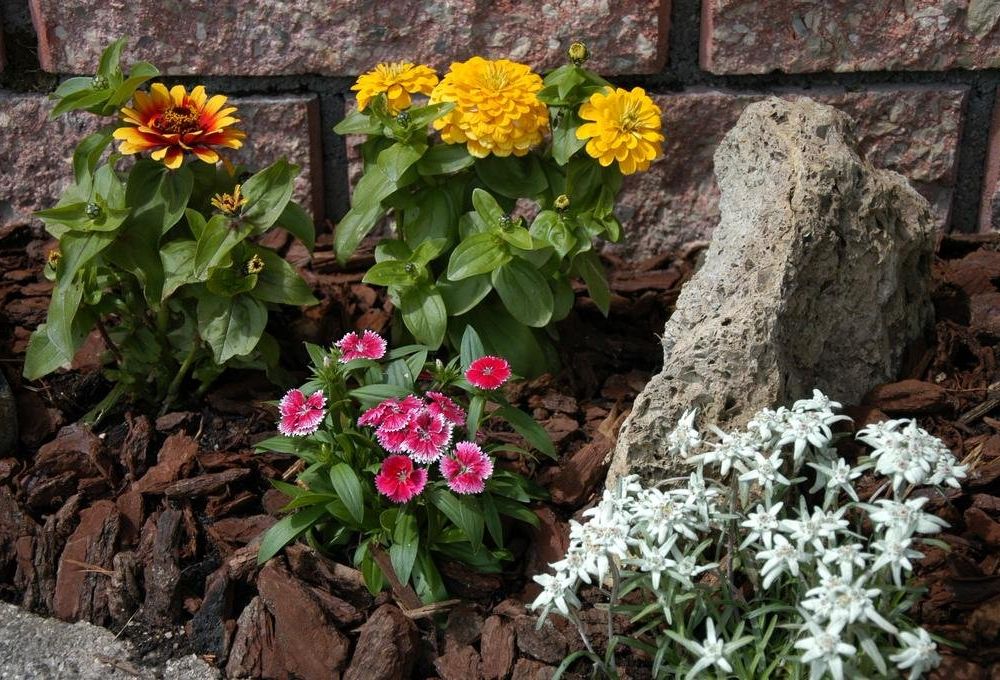 Outdoor Pictures 17
