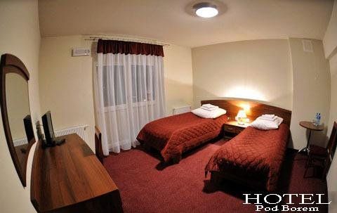 Hotel Pod Borem