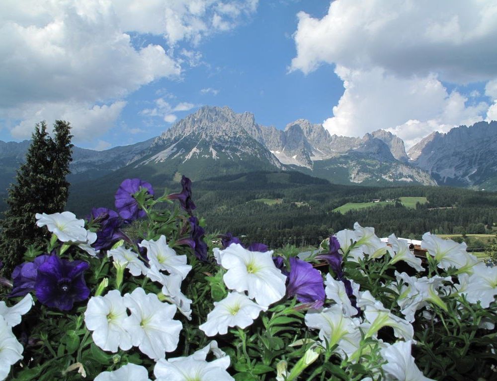 Outdoor Pictures 21