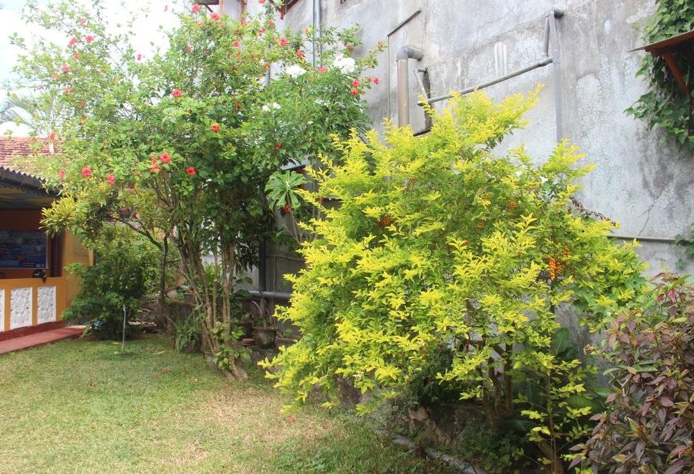 Outdoor Pictures 12