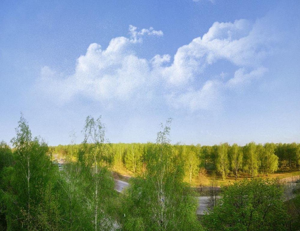 Outdoor Pictures 24