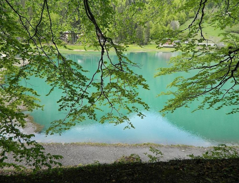 Outdoor Pictures 16