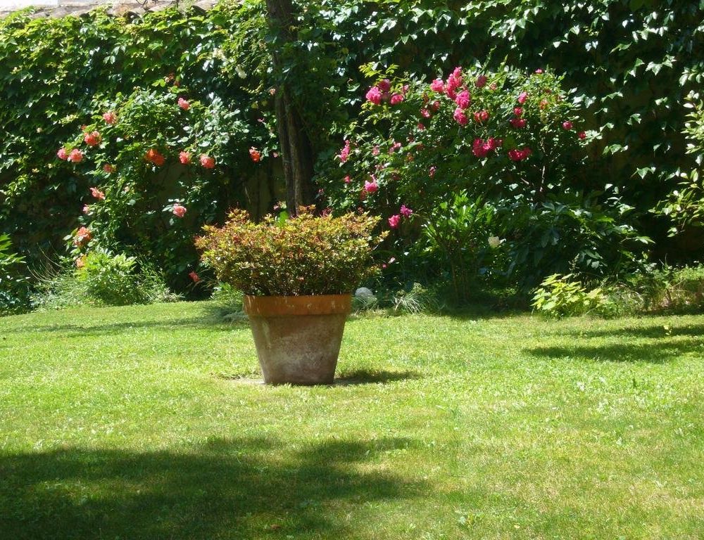 Outdoor Pictures 18