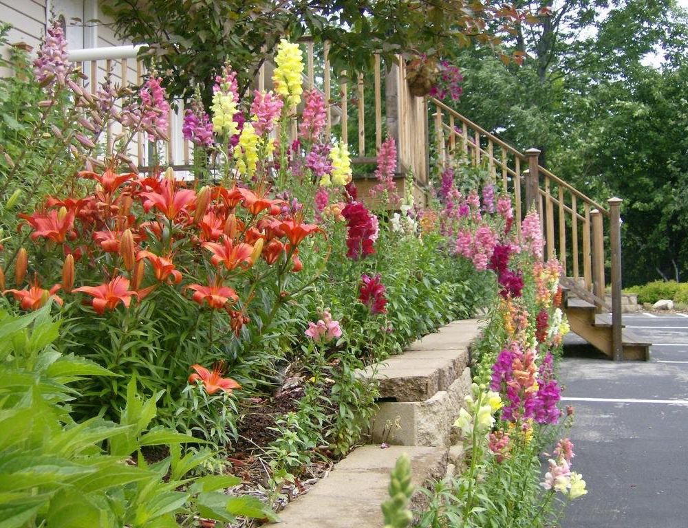 Outdoor Pictures 20