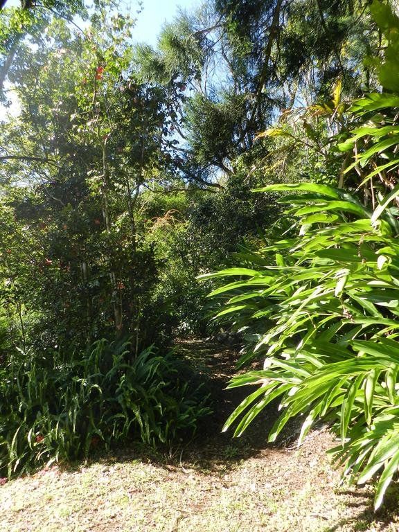Outdoor Pictures 23