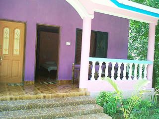 Outdoor Pictures 12