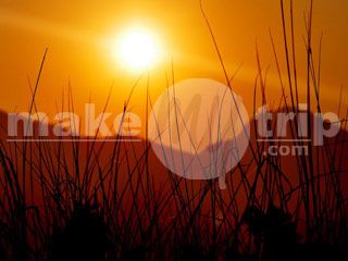 Outdoor Pictures 16