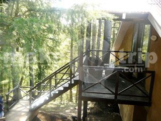 Outdoor Pictures 21