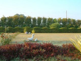 Outdoor Pictures 19