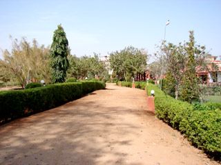Outdoor Pictures 11