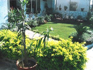 Outdoor Pictures 16