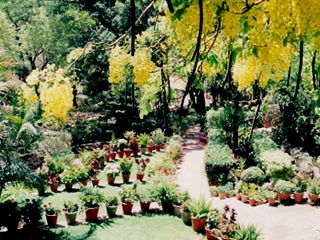 Outdoor Pictures 15