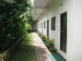 Outdoor Pictures 15