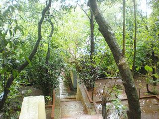 Outdoor Pictures 11