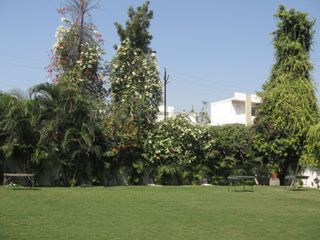 Outdoor Pictures 8