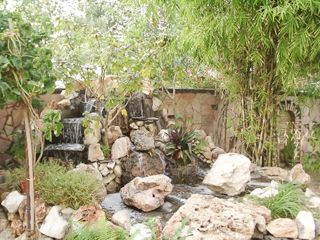 Outdoor Pictures 22