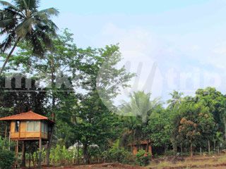 Outdoor Pictures 1