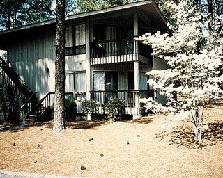 Outdoor Pictures 1