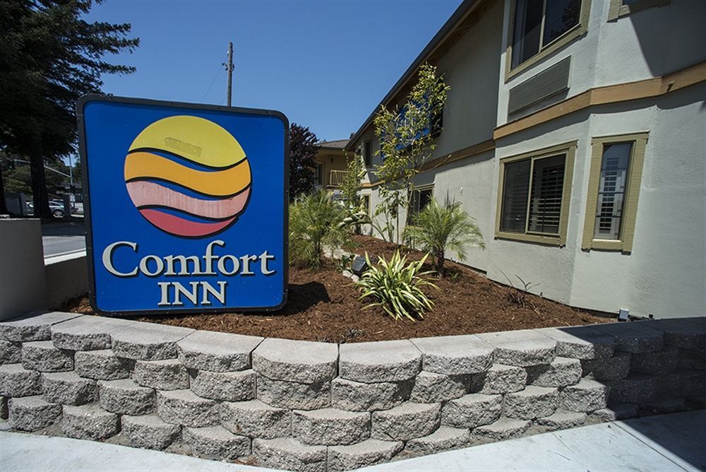 Comfort Inn Santa Cruz