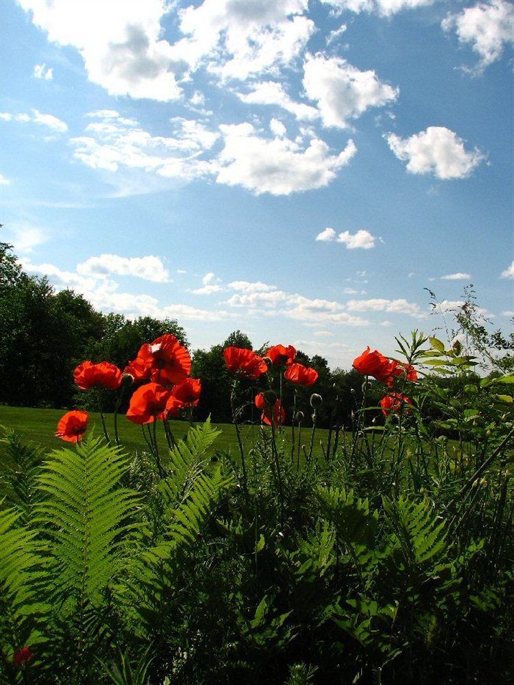 Outdoor Pictures 2