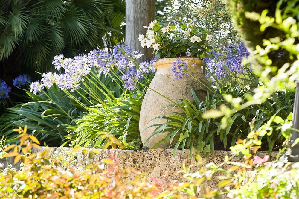 Outdoor Pictures 19