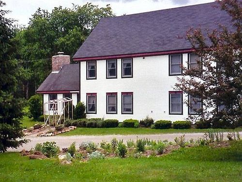 Frog's Leap Inn