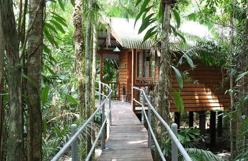 Daintree Wilderness Lodge