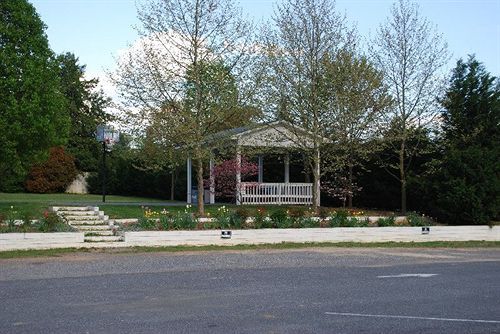 Outdoor Pictures 24