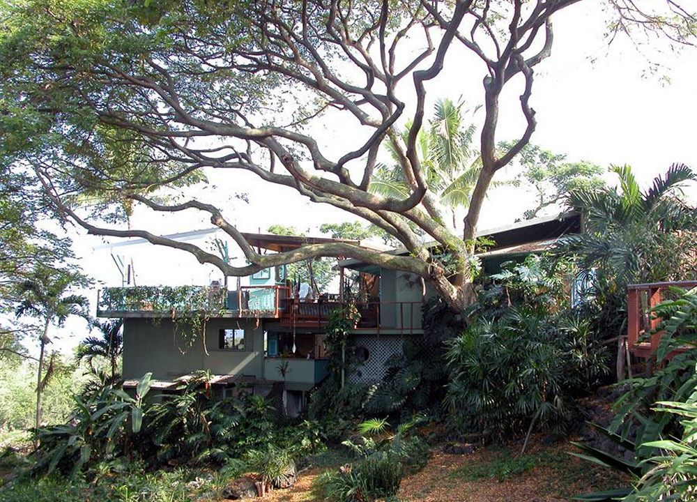 Dragonfly Ranch